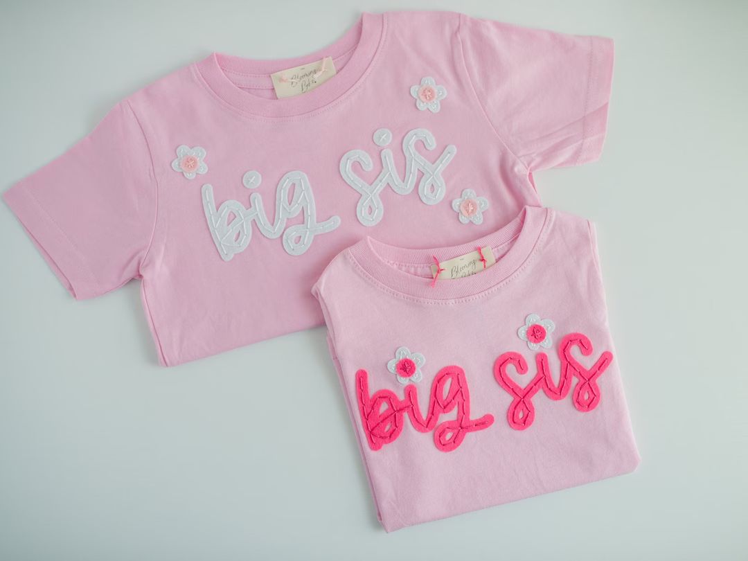 Big Sister Hand-embroidered T-shirt Big Sister Shirt, Baby Announcement Shirt, Little Brother & S... | Etsy (US)