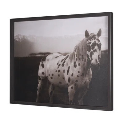 Spotted Solo by Nathan Kane a Hand Embelished Textured Framed Art Print | Wayfair North America