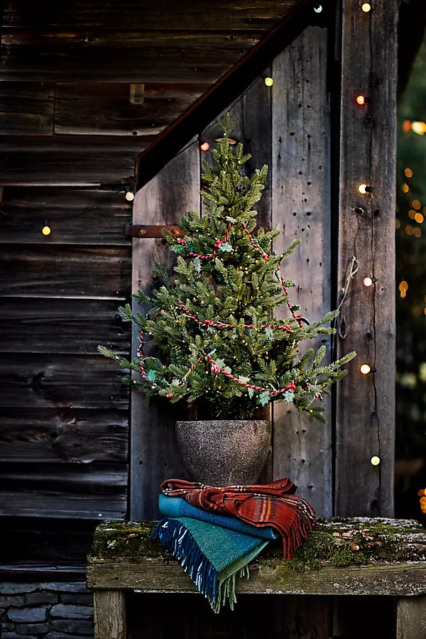 Artificial Pre-Lit Potted Norway Spruce, 4' | Anthropologie (US)