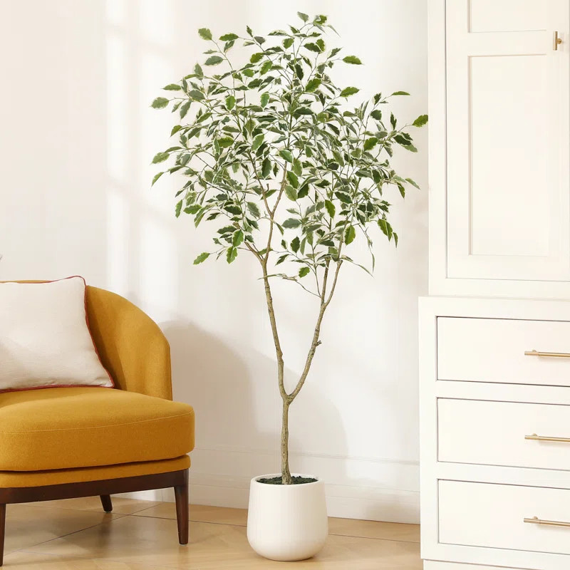 Adcock Faux Ficus Tree with Oval White Planter, Pre Potted Faux Greenry Plant with white side lea... | AllModern