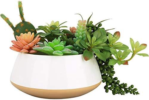 LA JOLIE MUSE Large Succulent Planter Plant Pots, Ceramic Indoor Outdoor Garden Pot with Drainage... | Amazon (US)