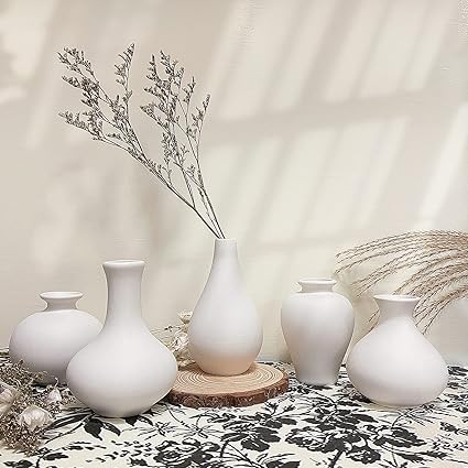 White Ceramic Vase Set - 5 Mini Bud Vases in Bulk, EVOLUX White Small Vases for Flowers, Unique F... | Amazon (US)
