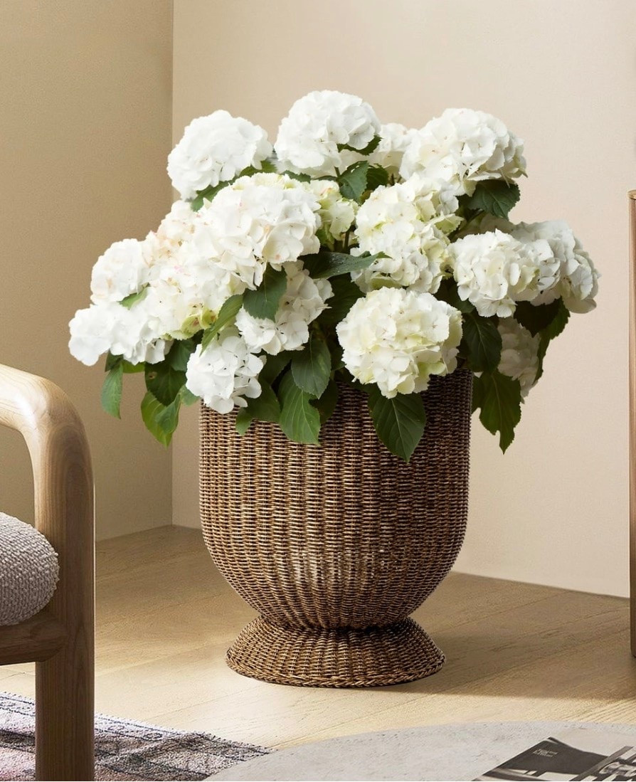 Walmart My Texas House 16 inch Brown Woven Resin Urn Planter, flowers, plants, home accessories

#LTKHome