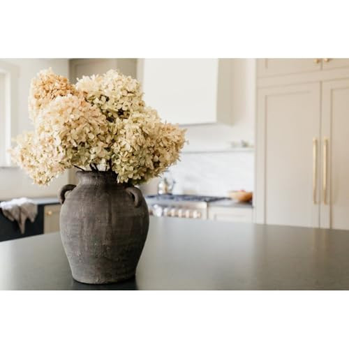 Large Black Flower Vase with Handles, Terracotta Big Rustic Planter Pots, Mid Centruy Modern Decoration, 7 "W x 10 "H x 4 "D, Stylish Flower Vase for Livingroom Bedroom Garden Balcony | Amazon (US)