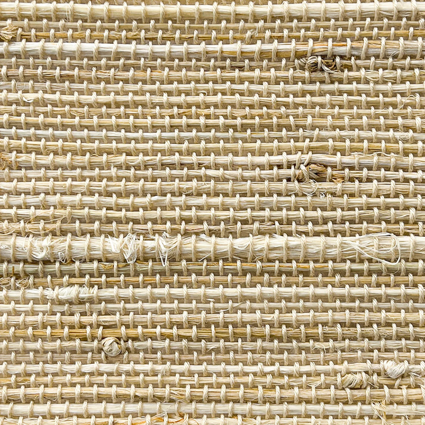 Tailor Woven Bamboo Blinds & Shade | Beige | Tailorvibe