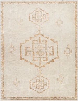 Solona Medallion Dusty Pink - Livabliss x Becki Owens | Boutique Rugs