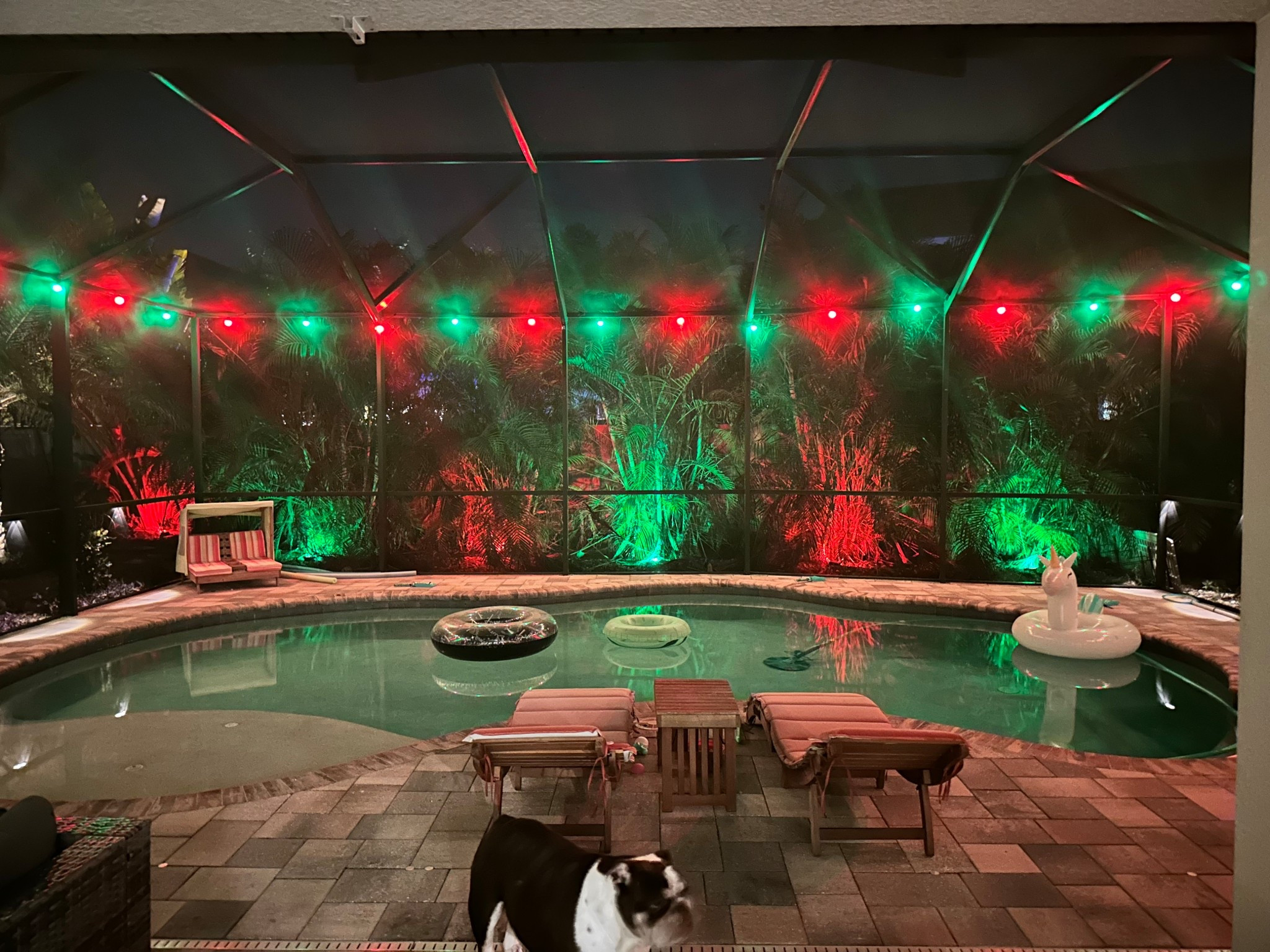 Govee bulb 💡 string lights. On sale! 

#LTKSaleAlert #LTKHome