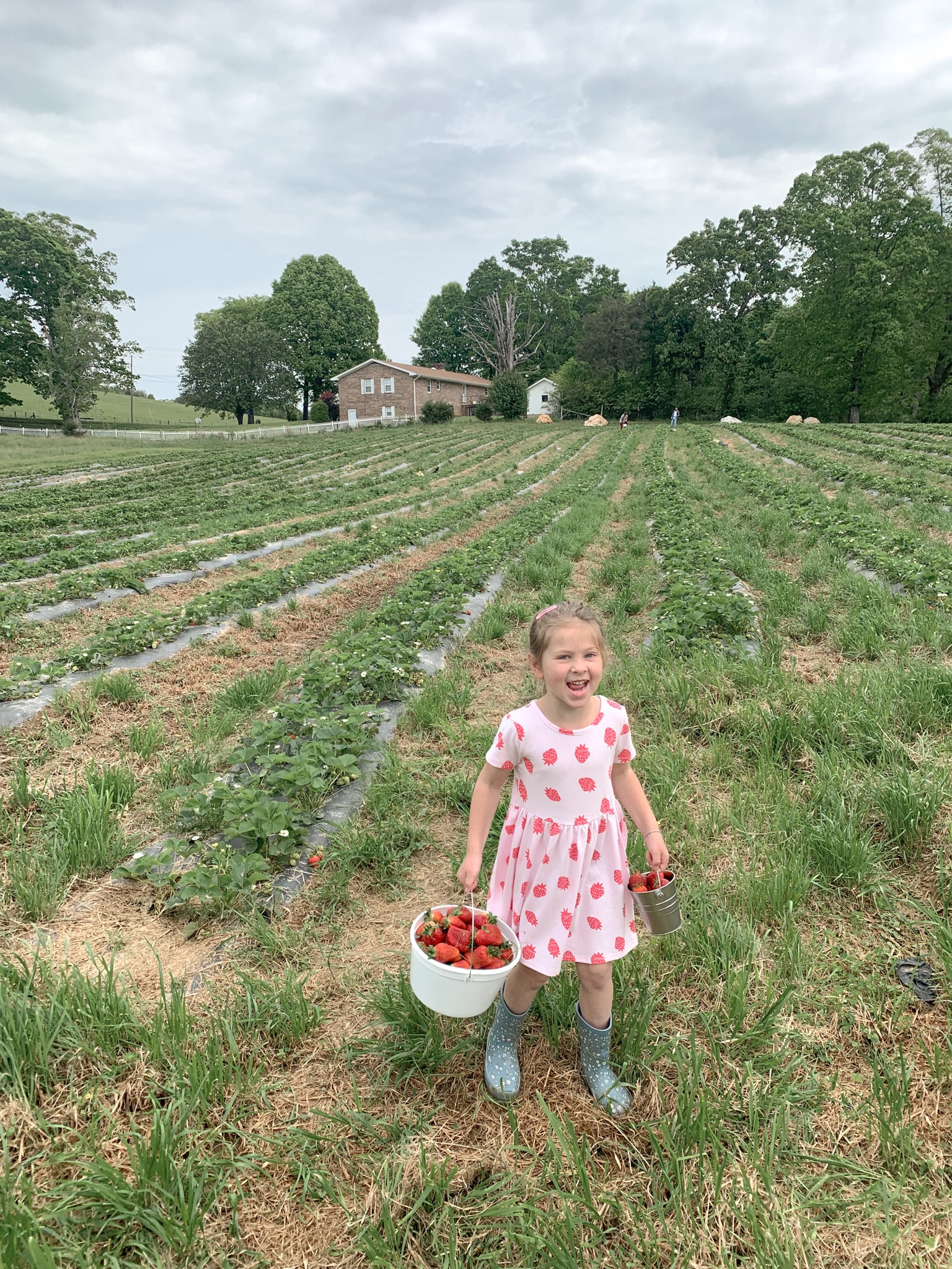 We spent most of the weekend outside going strawberry picking and gardening. 👩🏻‍🌾🪴 Our fresh cut flower garden is finished and we’re working on planting some fruit trees and blueberry bushes 🫐 Yay for warm weather!

#LTKhome