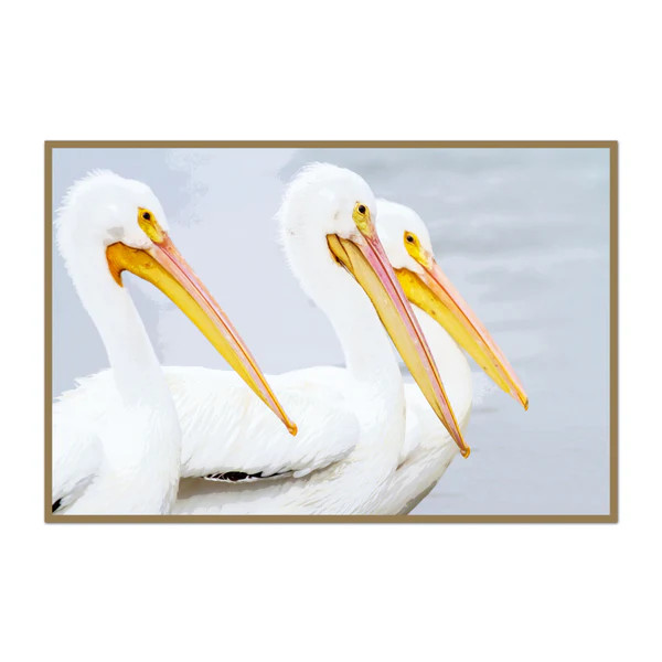 Pelican Brothers | Urban Garden Prints