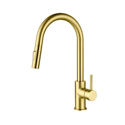Pull Down Single Handle Kitchen Faucet | Wayfair North America