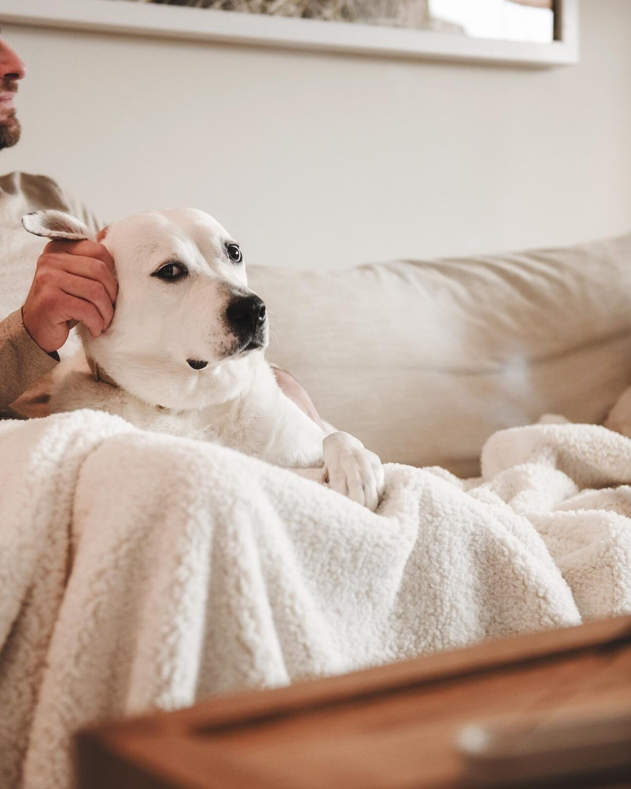 Cozying up through before we welcome Spring. A few of our favorite blanket finds

#LTKHome