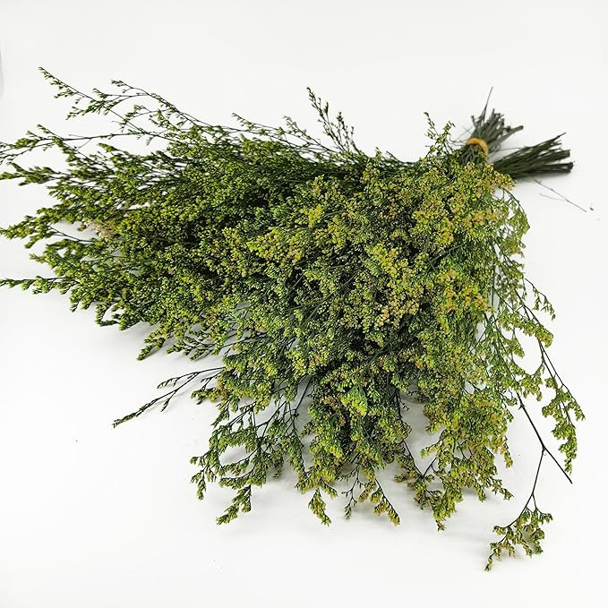 Birtlynn Preserved Caspia Statice Flower Bouquets, 100% Natural Long Lasting Flowers, 17 Inch Arr... | Amazon (US)