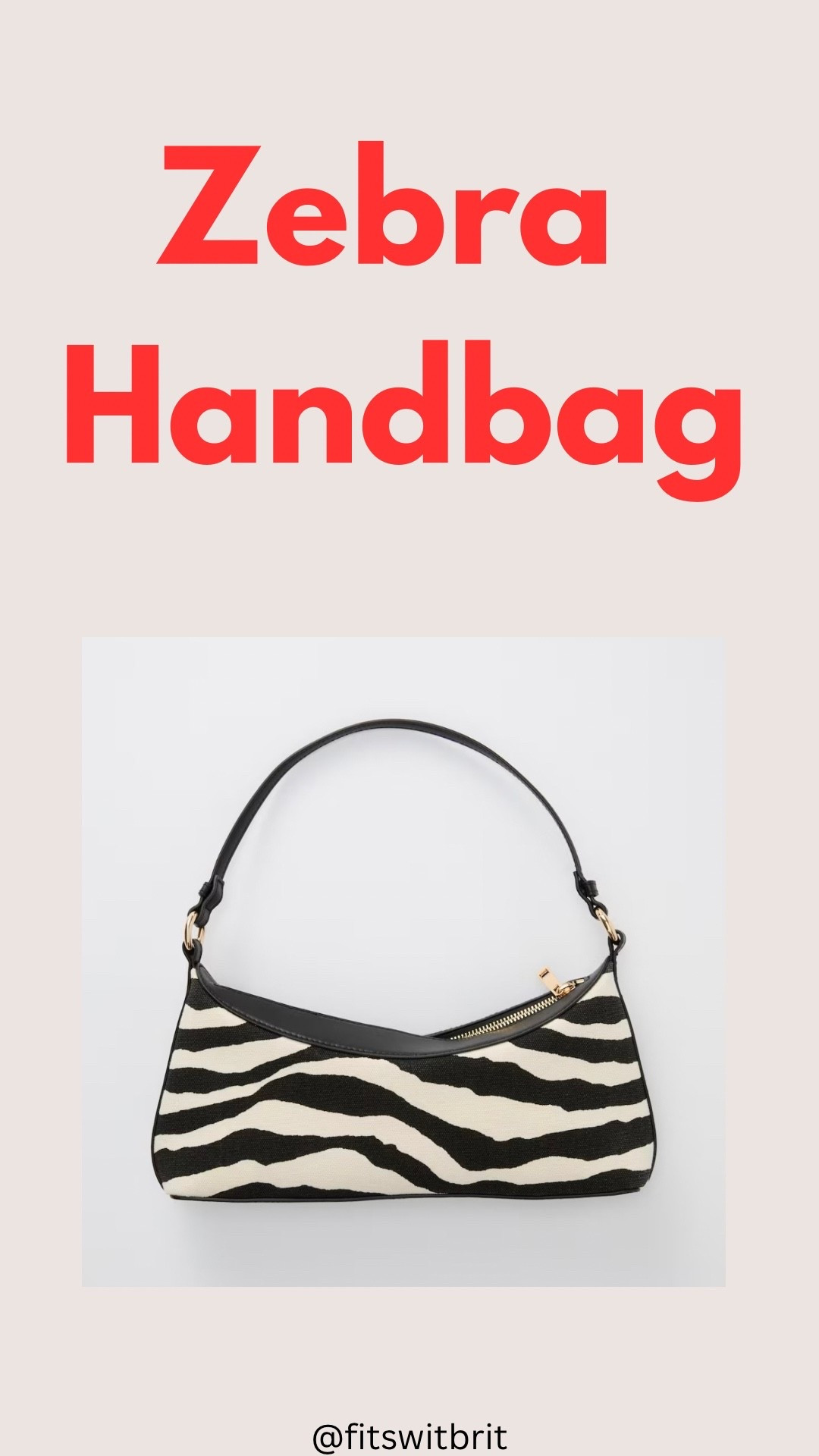 Zebra Handbag