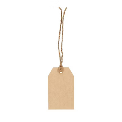 10ct Kraft Gift Tags Brown - Spritz™ | Target