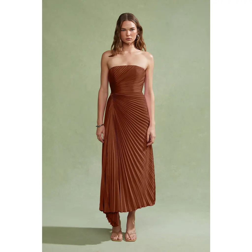 AMUR Everyn Pleated Gown in Pink Clay at Nordstrom, Size 4 | Nordstrom