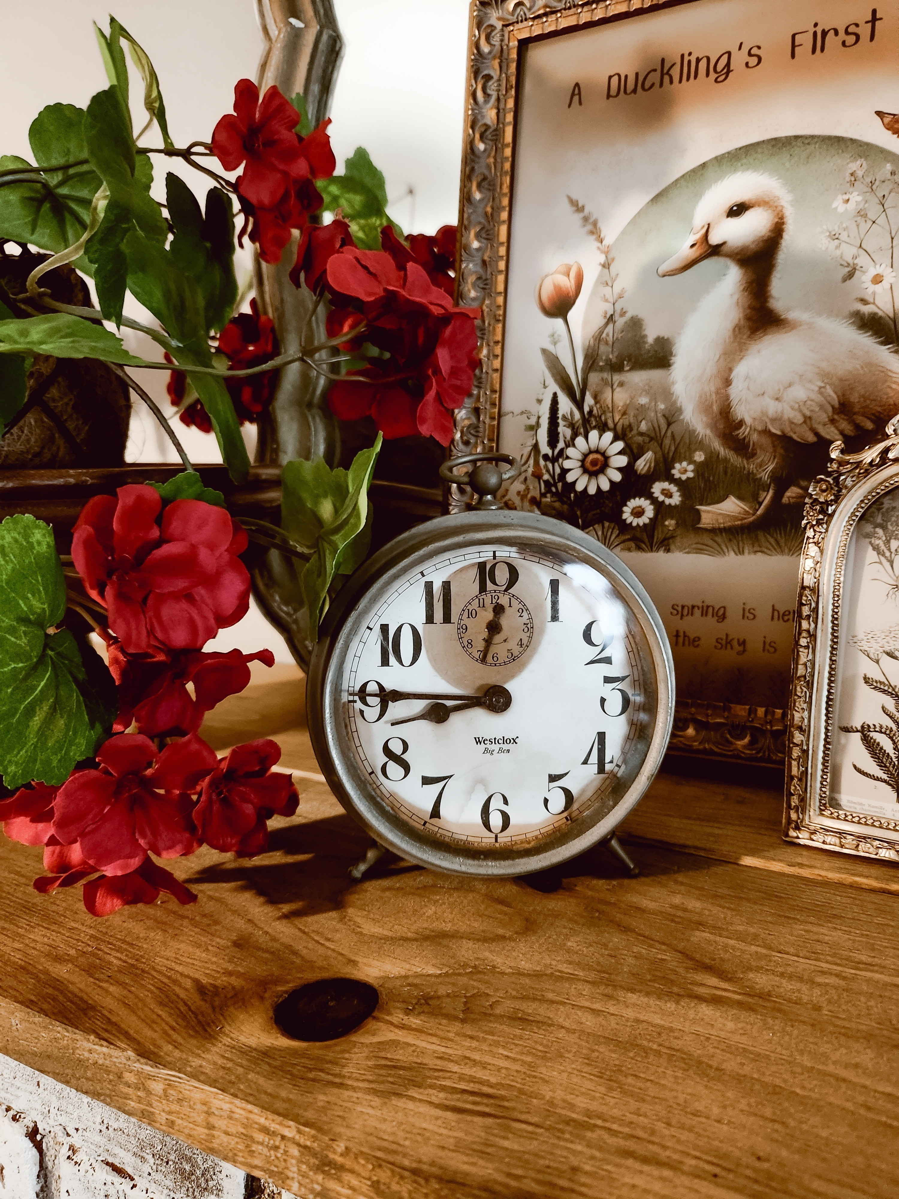 The best faux geraniums for that cottage feel.

#LTKSeasonal #LTKHome #LTKStyleTip