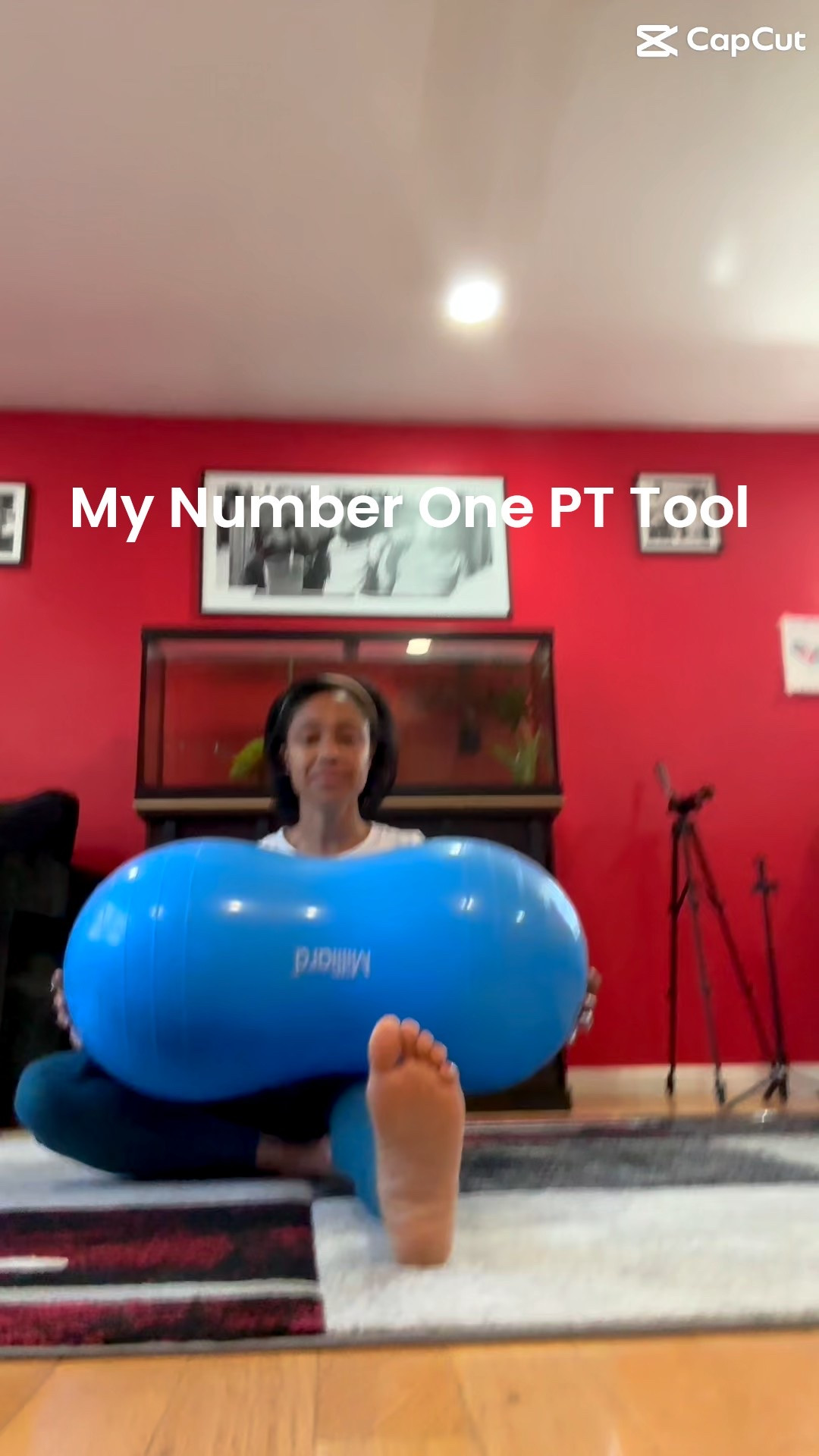 My top PT tool for balance, stability, and core strength. The peanut ball is family-friendly, affordable, and fun for kids and adults! #TherapyBall #Fitness #Core

#LTKFindsUnder50 #LTKFamily #LTKActive