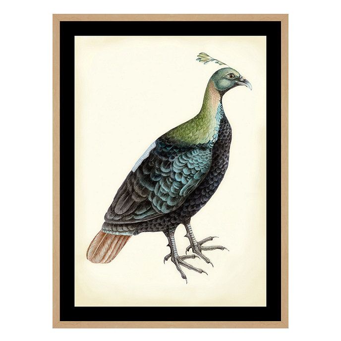 Bunny Williams Bird Oak Framed Print Art Series | Ballard Designs, Inc.