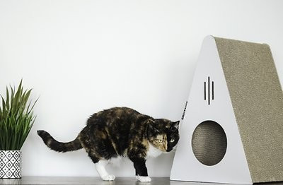 Park & Bench Key Largo Cat Scratcher | Chewy.com