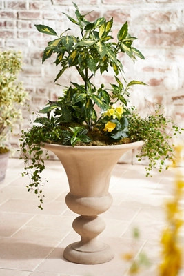 Patara Cast Stone Urn | Anthropologie (US)