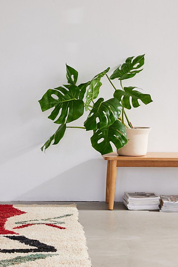 Potted Monstera 3' Faux Plant - Green at Urban Outfitters | Urban Outfitters (US and RoW)