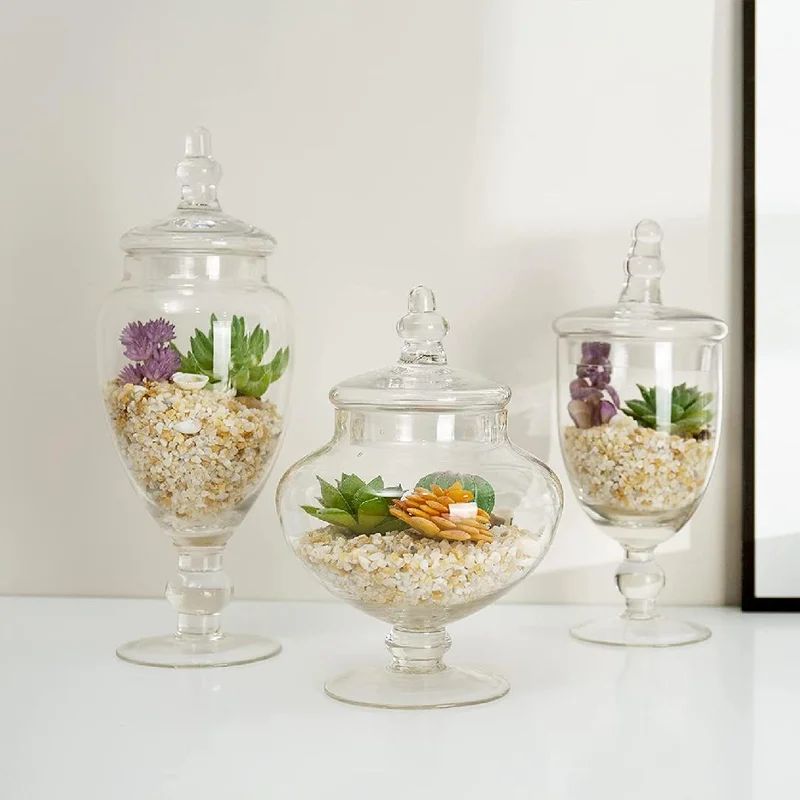 3 Piece Dejone Clear Glass Apothecary Jar Set | Wayfair North America