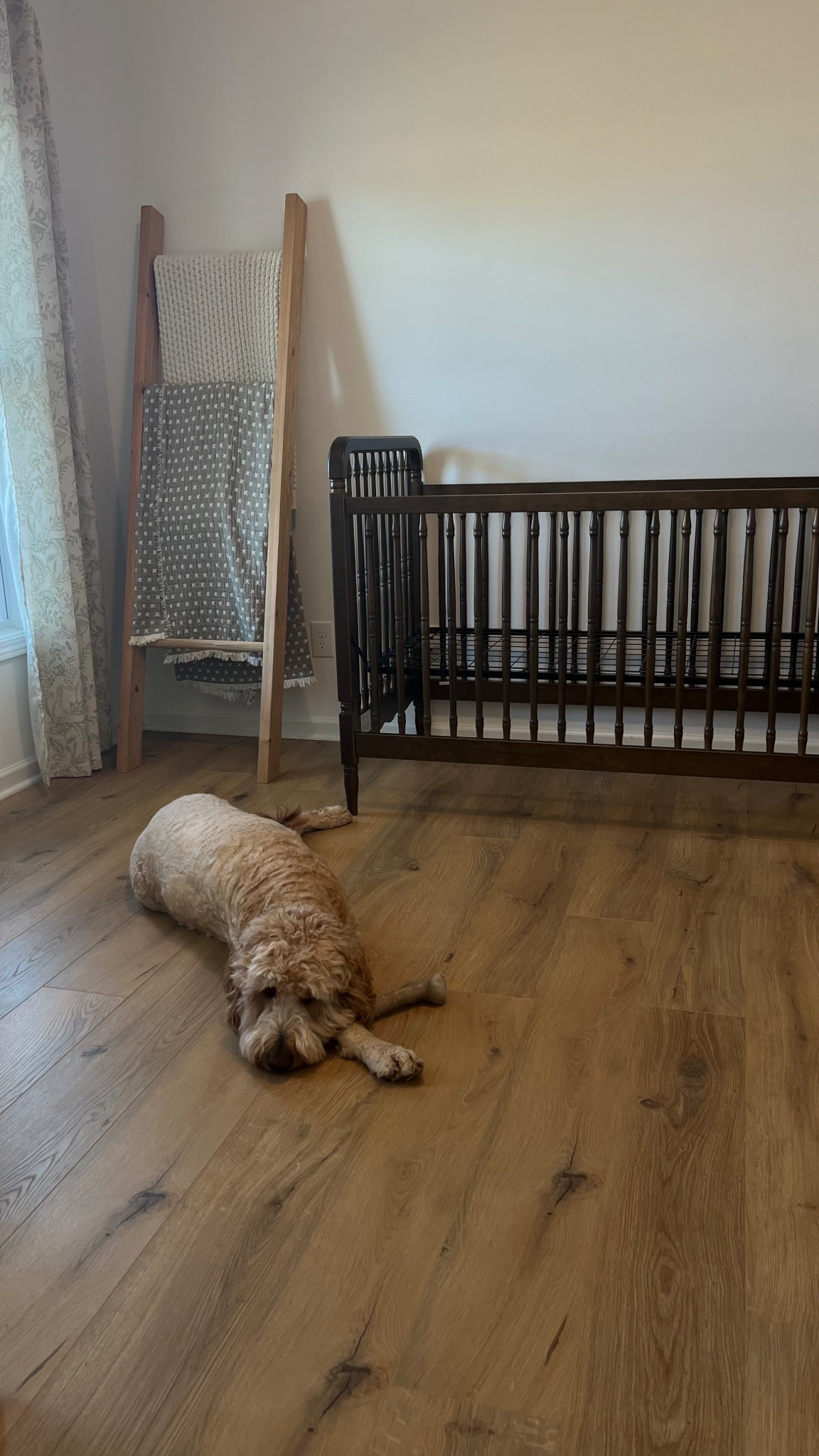 #LTKBaby