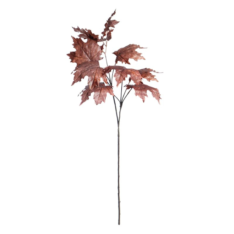 Brown Maple Stem, 29" | At Home
