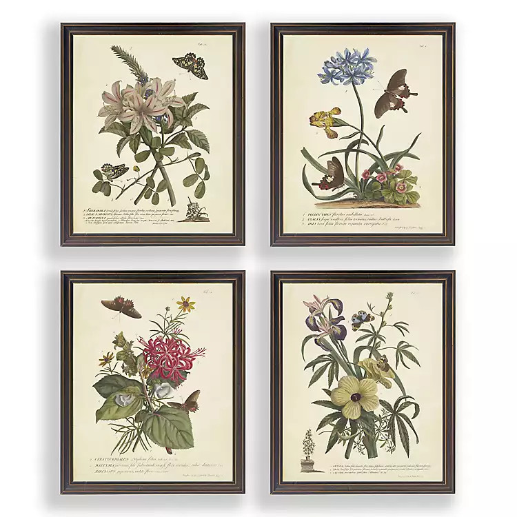 Day Butterfly Blooms Framed Art Prints, Set of 4 | Kirkland's Home