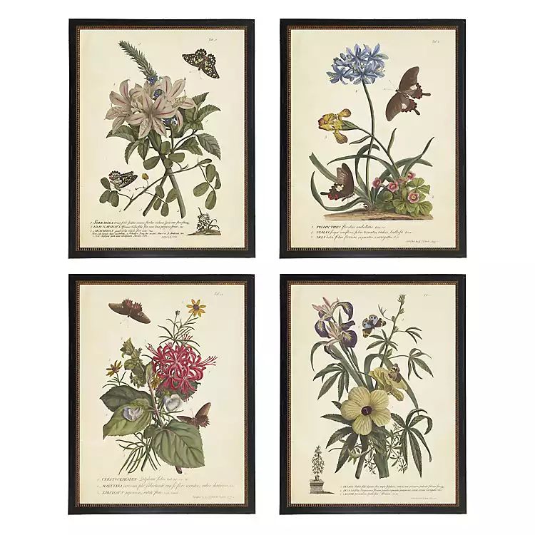 Day Butterfly Blooms Framed Art Prints, Set of 4 | Kirkland's Home