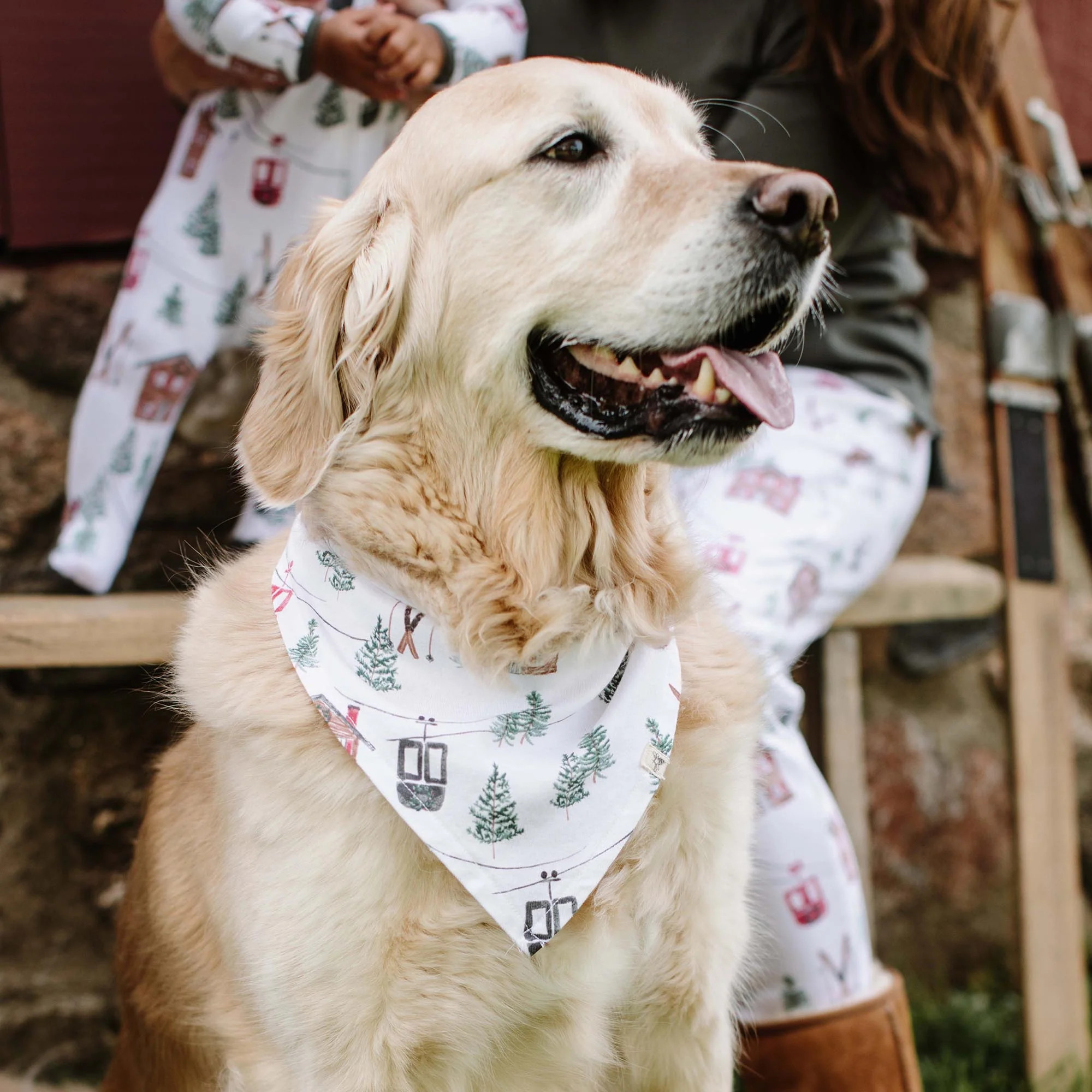 Ski The Alps Matching Family Women's Pajamas | Burts Bees Baby