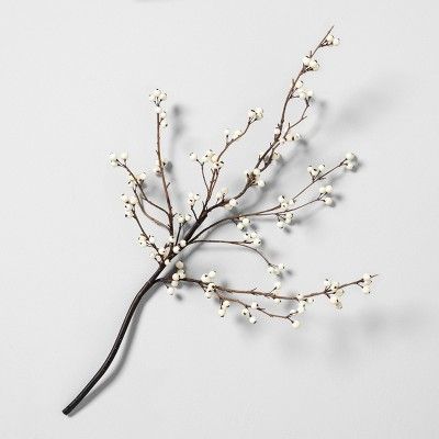 White Berry Stem - Hearth & Hand™ with Magnolia | Target