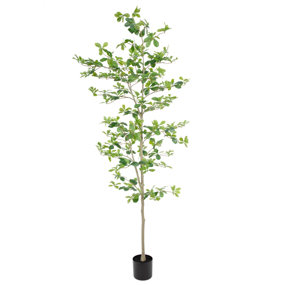 Primrue 7ft Black Olive Tree with Realistic Silk Leaves & Trunks for Home Office Patio Porch Room... | Wayfair North America