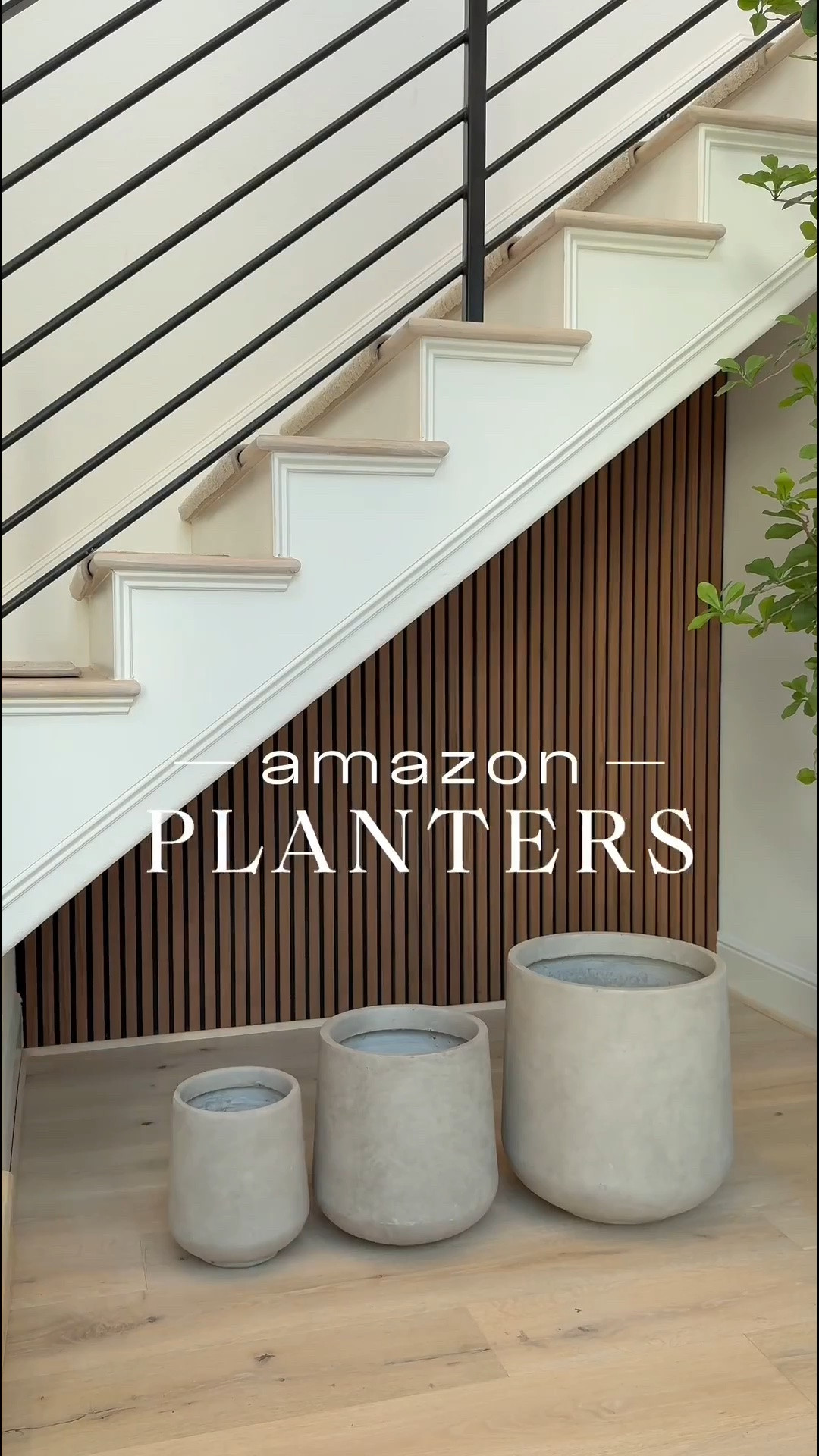 I love styling 5 foot tree next to 7 foot. I just love the scaling! 😍 … Used the large and medium size planters  for this look! 🤎

#LTKSale
#LTKHome #LTKStyle