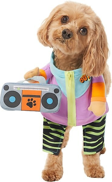 FRISCO Front Walking 80s Retro Kid Dog & Cat Costume, Medium - Chewy.com | Chewy.com