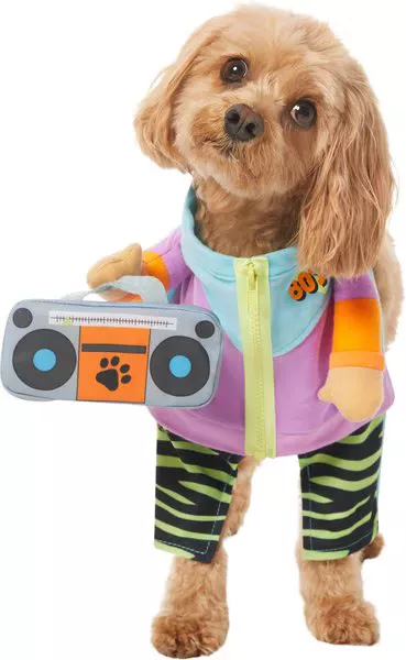 Dog shop workout costume