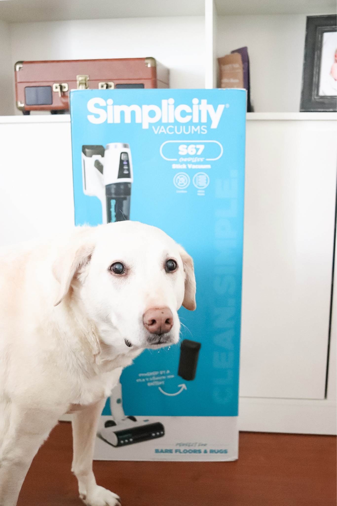 S67 Cordless Stick Vacuum from Simplicity Vacuums

An affordable cordless stick vacuum option for quick and easy cleaning 
#ad #simplicityvacuums / vacuum cleaner / cordless vacuum cleaner /  home appliances 