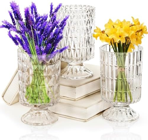 Goaste 3 Pack Embossed Big Base Vase, 7" Crystal Glass Vase, Hydroponic Green Plant Vases, Transp... | Amazon (US)