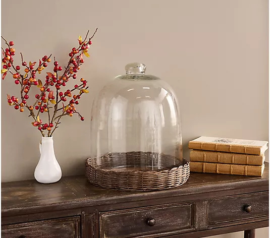 Simply Stunning 13" Oversized Wicker Cloche by Janine Graff | QVC