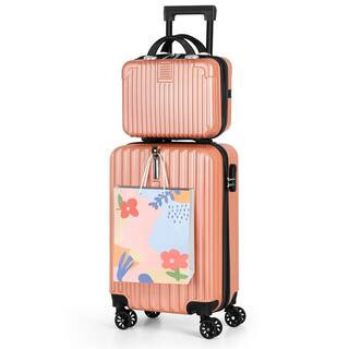 2-Piece Carry On Luggage Set Hard Side Lightweight Suitcase with 4 Spinner Wheels(14/20, Rose Gold) | The Home Depot