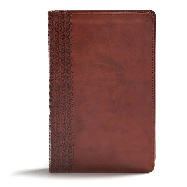 CSB Everyday Study Bible, British Tan LeatherTouch (Hardcover) | Walmart (US)