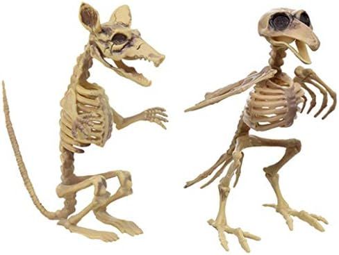 Nikki's Knick Knacks Rat and Bird Skeleton Halloween Decoration | Amazon (US)