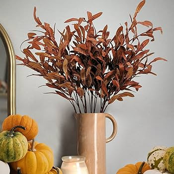 SNAIL GARDEN | Amazon (CA)