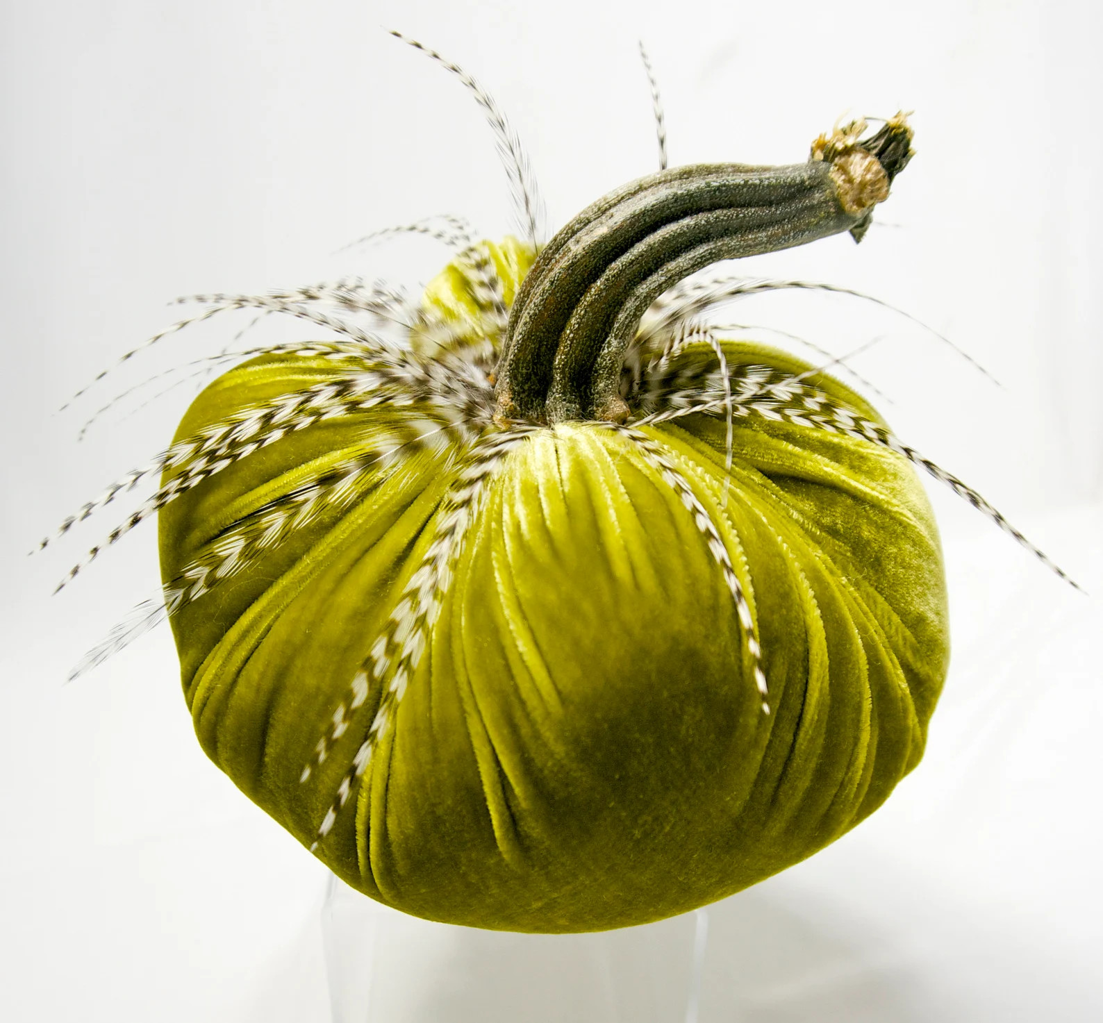 8 Golden Green Velvet Pumpkins with Real Pumpkin Stems | Etsy | Etsy (US)