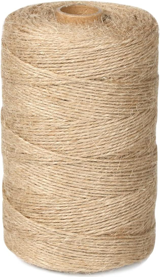 1100 Ft Natural Jute Twine String 2mm 3ply Thin Ribbon Hemp Twine for Craft Plant Gift Wrapping C... | Amazon (US)