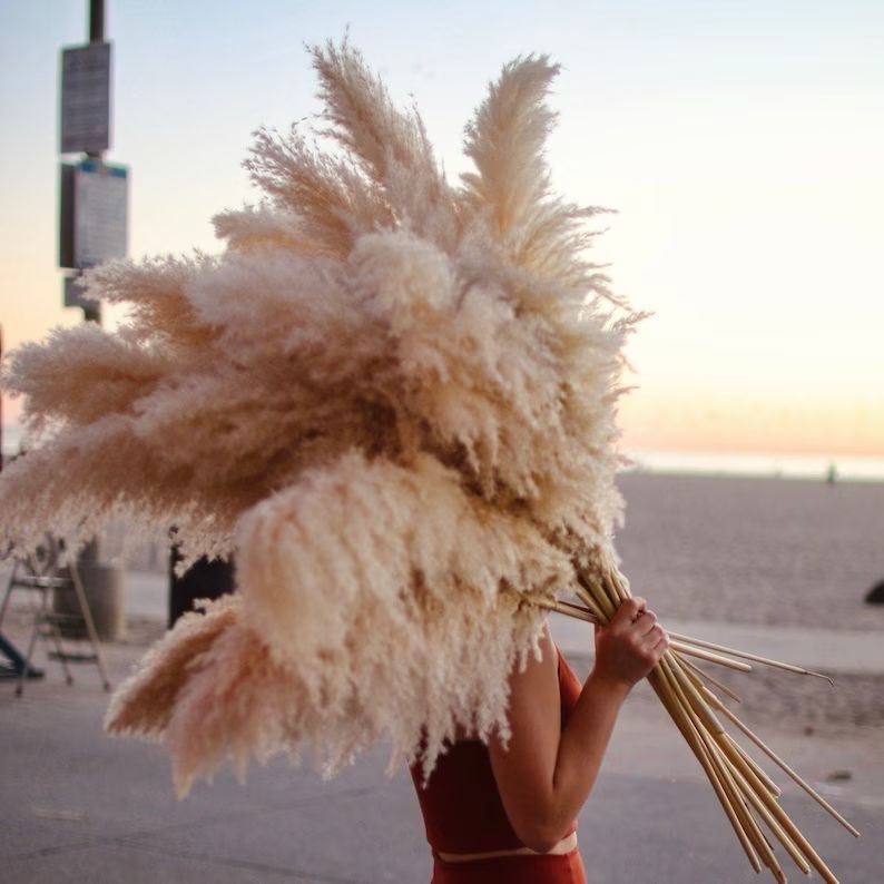 PAMPAS GRASS (3 CT)  -  Natural Dried Pampas Grass Decor, Reed Plume, Dry Boho Wedding Flower Arr... | Etsy (US)