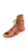 Click for more info about Toledo Gladiator Sandals