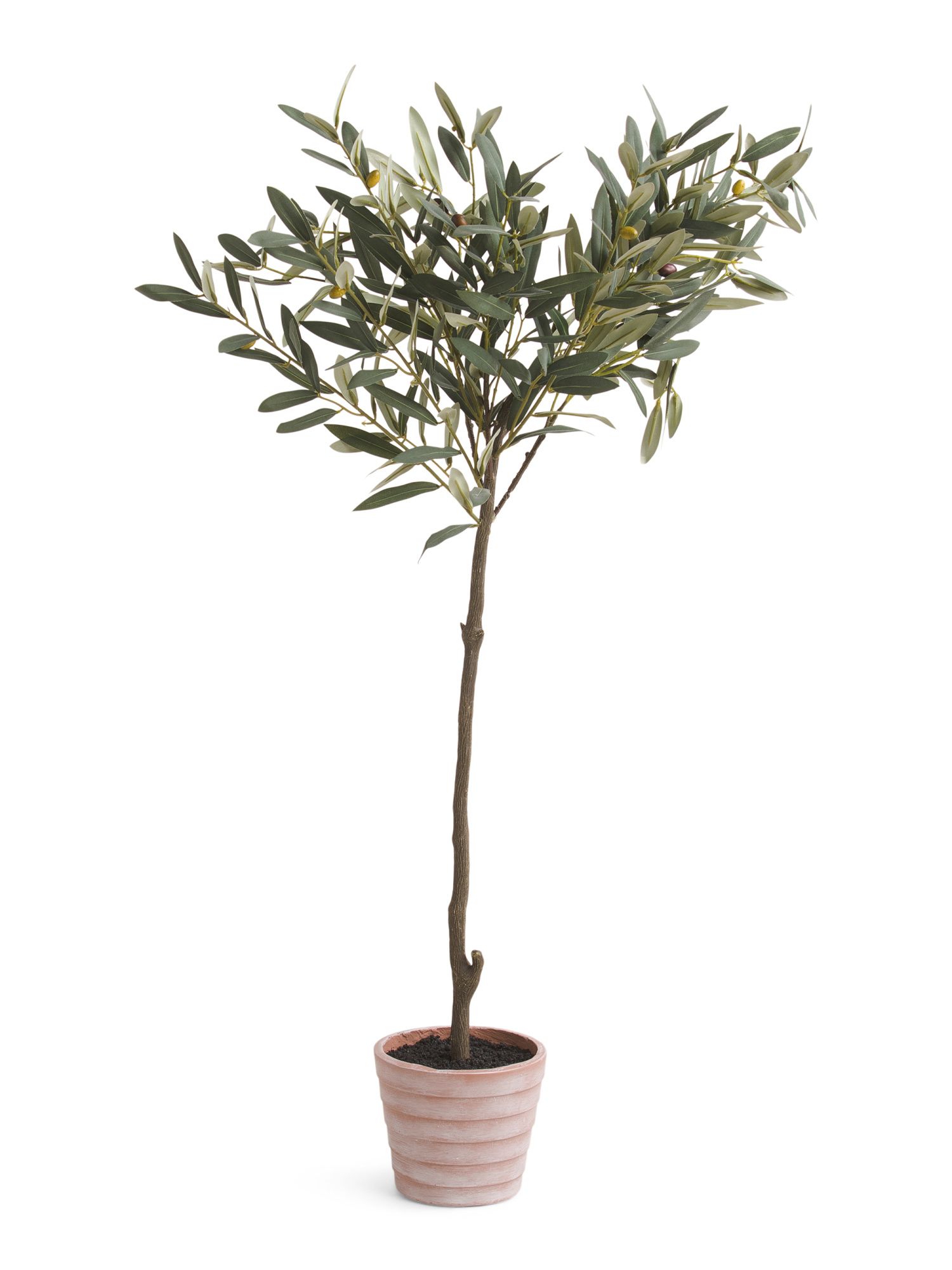 48in Outdoor Olive Tree | TJ Maxx