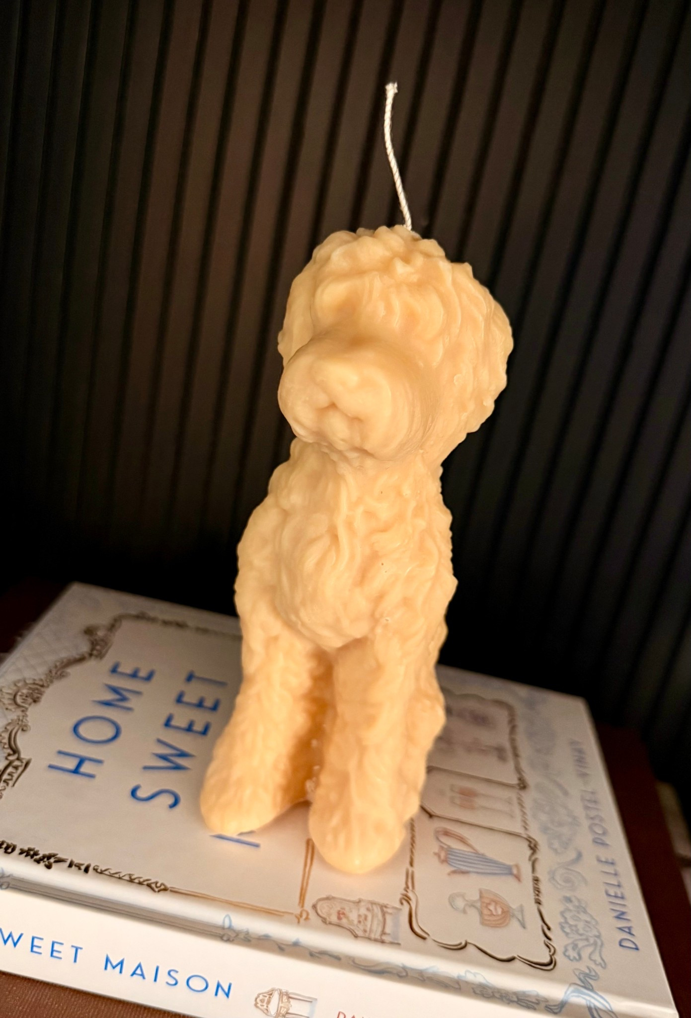 Okay but this candle is almost too cute to burn 🐾 🤍

Anthro’s doodle candle is one of those decor pieces that makes people stop and ask, “Where did you get that?” It’s sculptural, cozy, and honestly feels more like a little art moment than a candle. I love it styled on a stack of books or a coffee table tray.

It’s soy and beeswax, has a surprisingly long burn time, and even if you never light it, it adds so much personality to a space. Also would make the sweetest gift for a dog lover.

Linked here if you want to grab one for yourself or gift season. Save this for later and send it to someone who would love this as much as you do 🤍

Follow me here for more cozy home finds and everyday favorites you can actually use ✨ #anthrofinds #goldendoodle #doodle @anthropologie

#LTKGiftGuide #LTKHome #LTKFindsUnder50