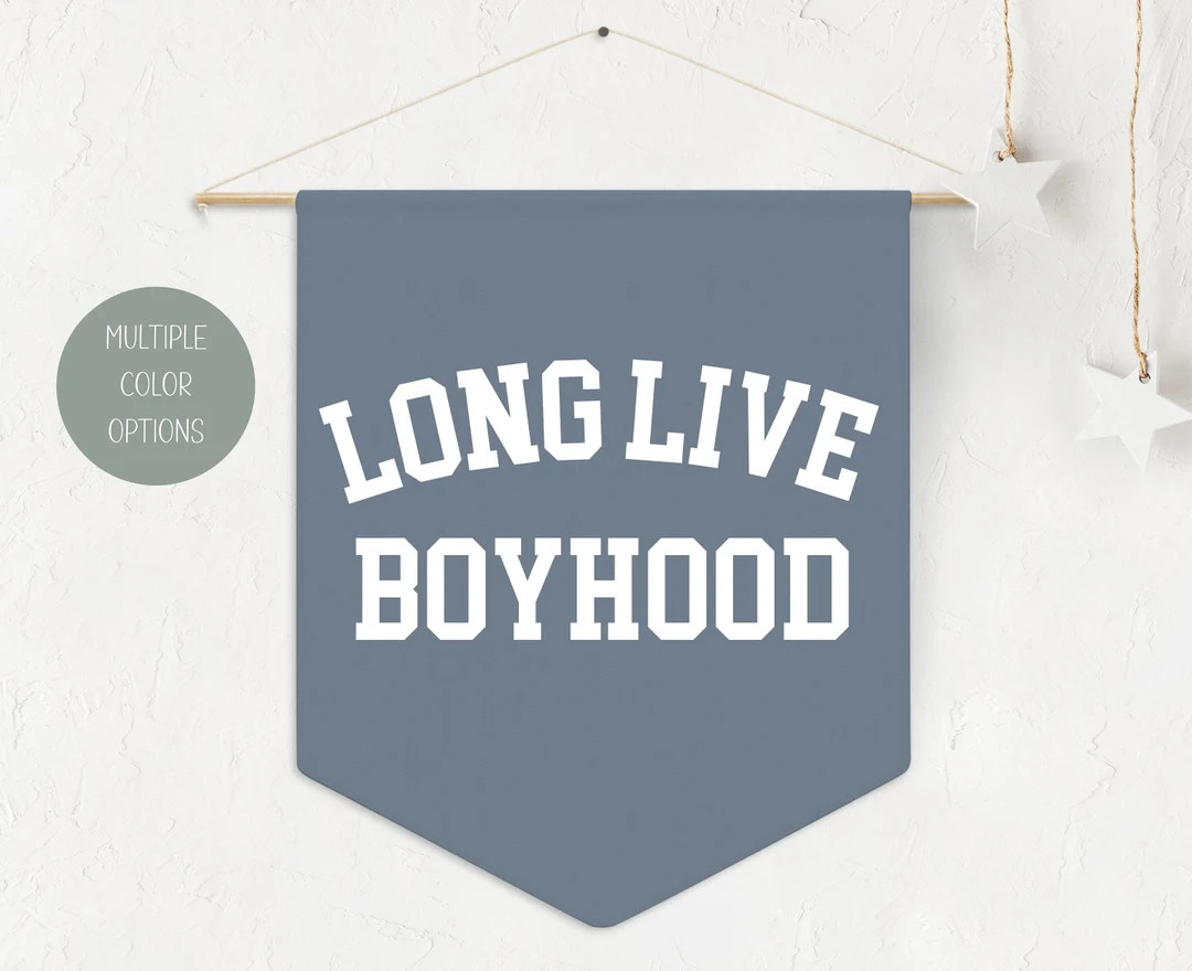 Long Live Boyhood Pennant Style Banner, Boys Room Decor Pennant Flag Wall Art Banner, Kids Room D... | Etsy (US)